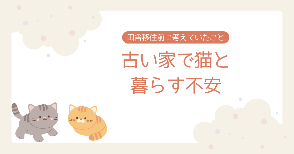 古い家　猫と暮らす不安　ブログ